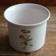 Plant illustration pot