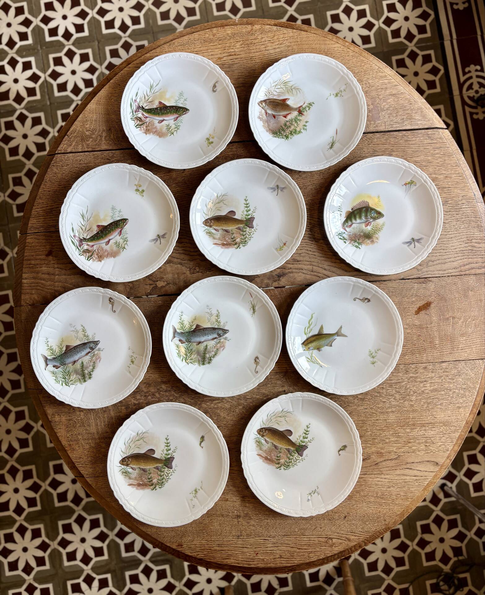 Set of 10 antique flat plates in porcelain, decorated with fish.