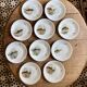 Set of 10 antique flat plates in porcelain, decorated with fish.
