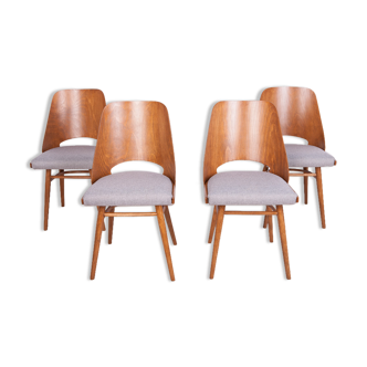 Model lollipop dining chairs from Tatra, 1960