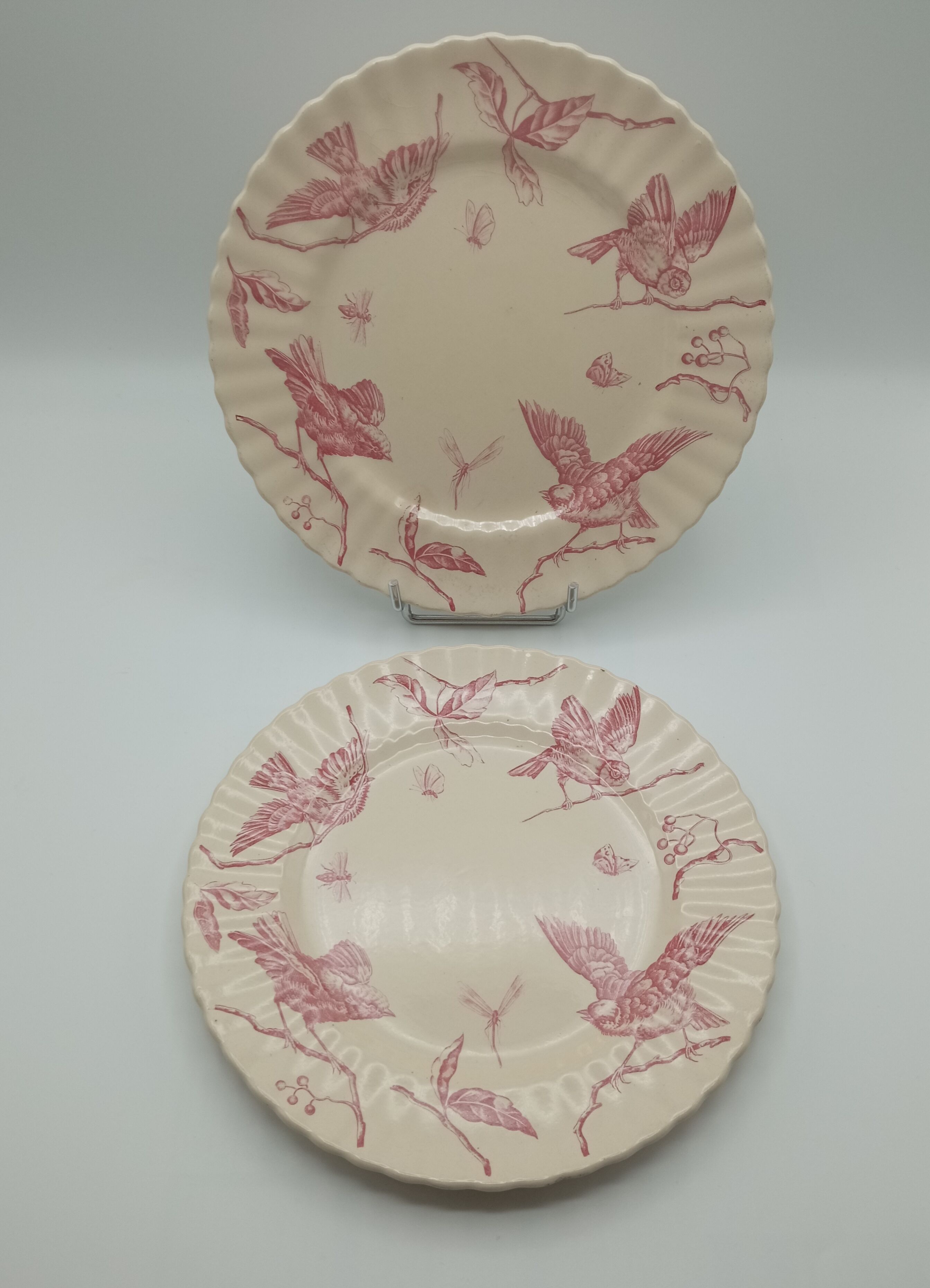 Longchamp earthenware plates