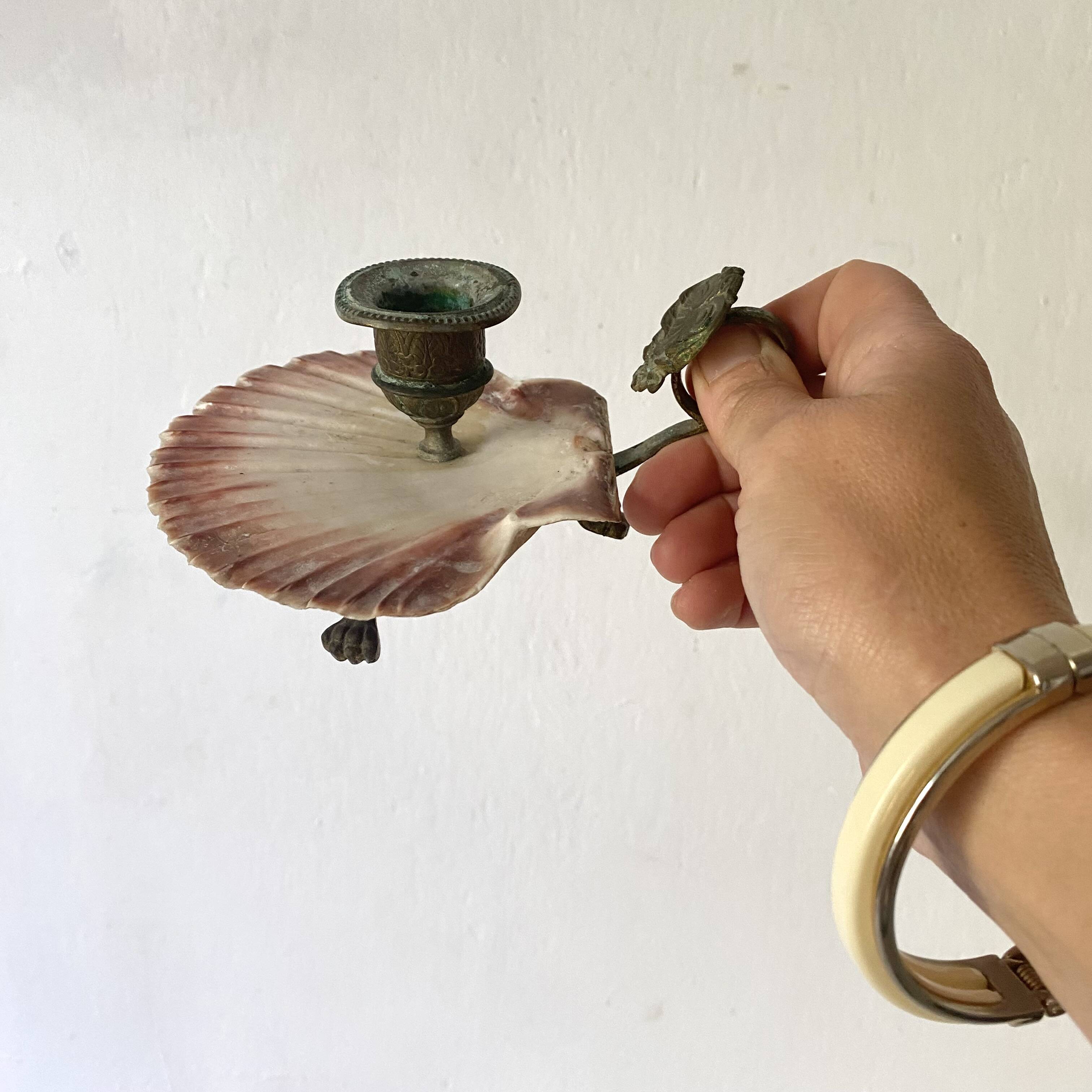 Scallop shell and lion paws candle holder