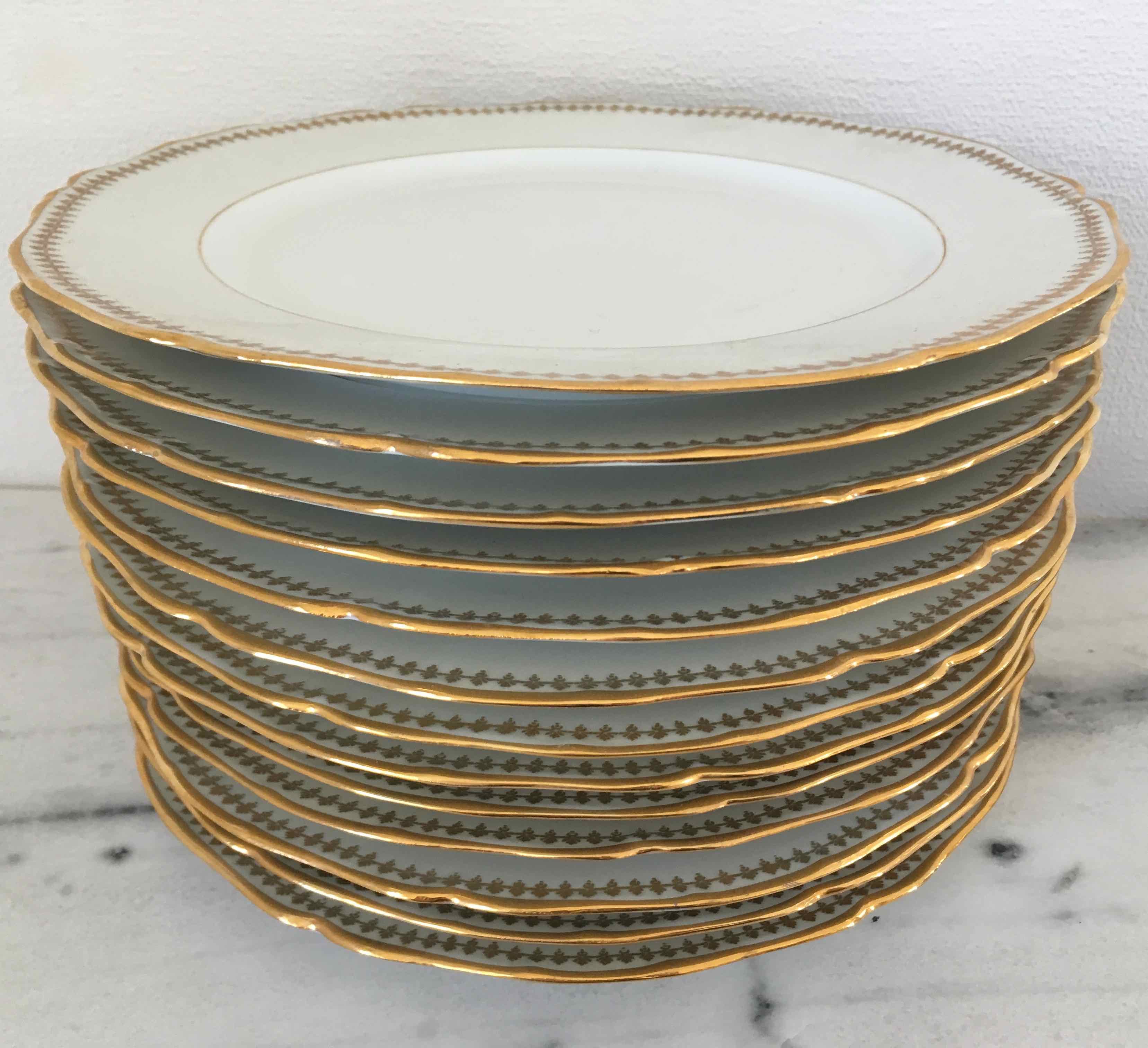 Set 12 plates and 3 dishes porcelain of Sologne