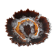 Empty pocket in ceramics-pottery hand painted