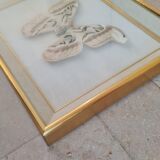 Frame butterfly attacus atlas India