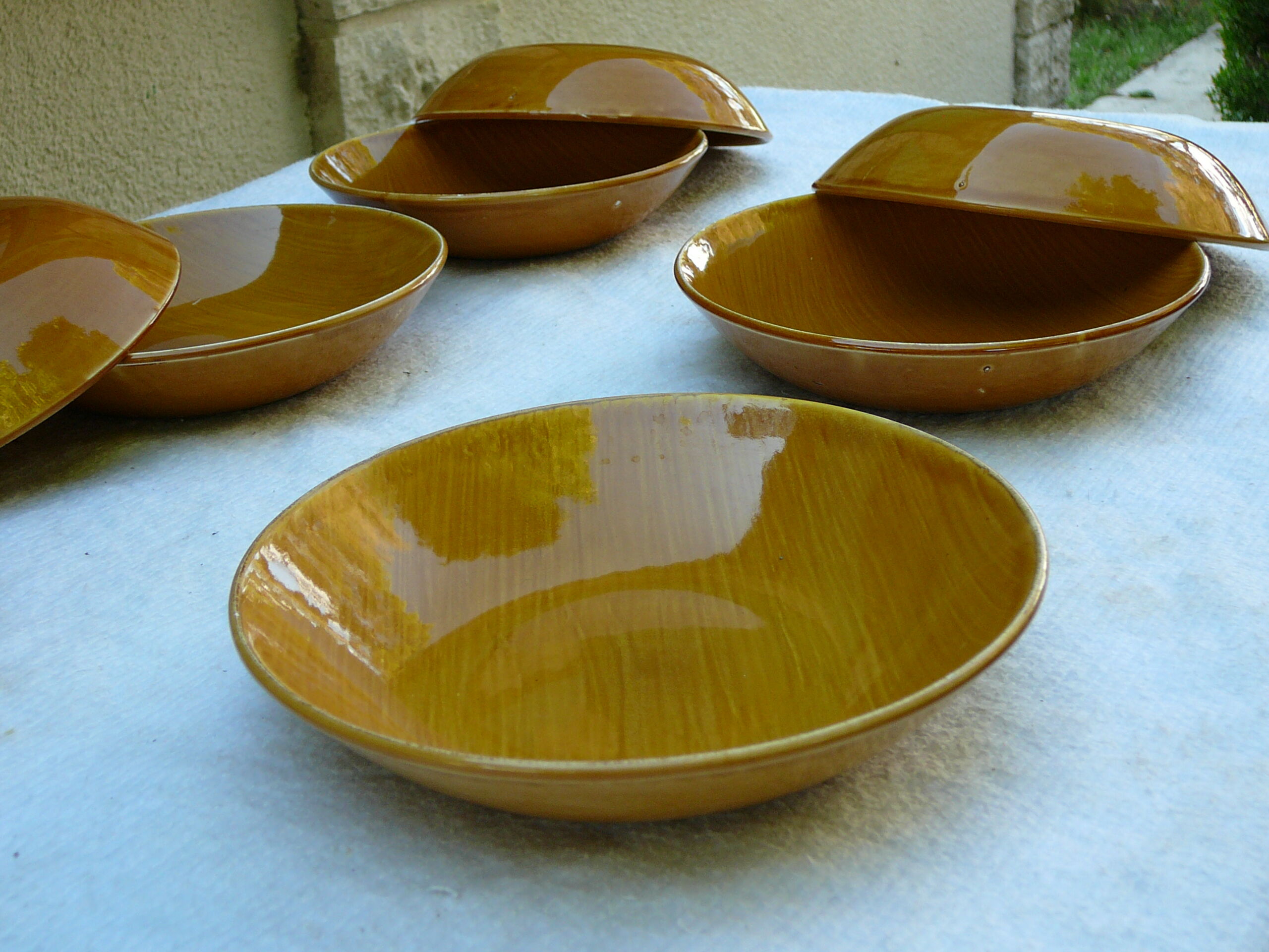 9 hollow plates Salins Provence