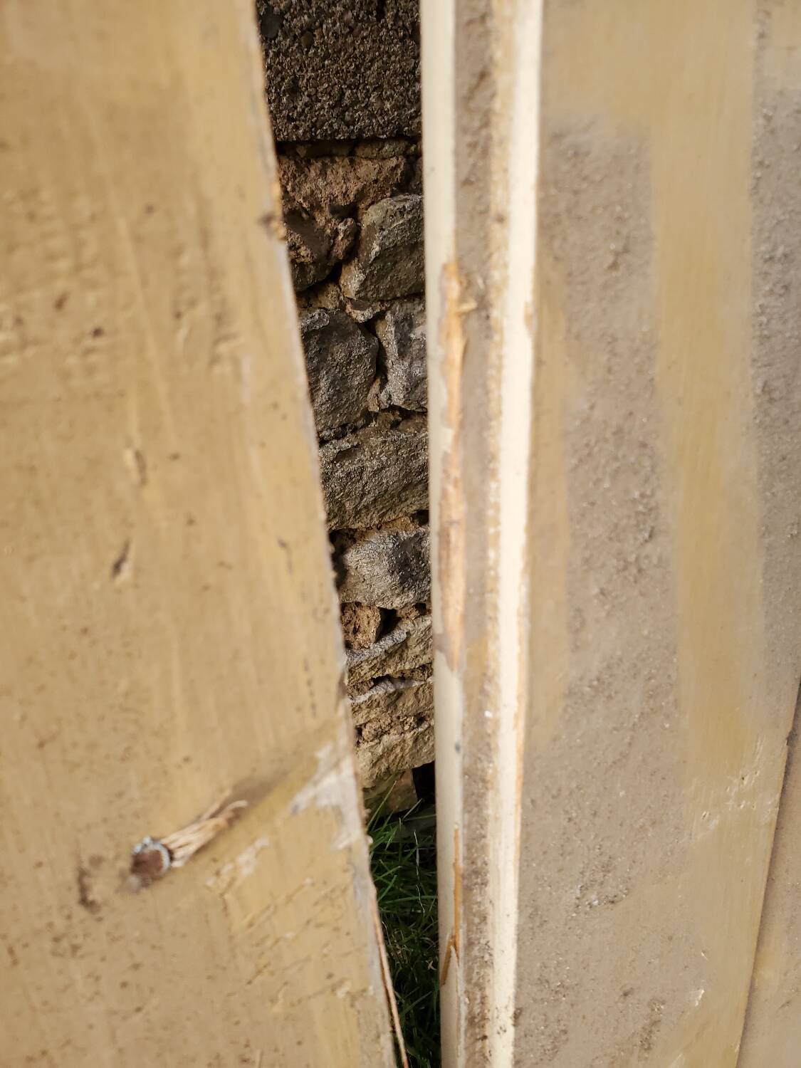 Pair of antique cupboard doors
