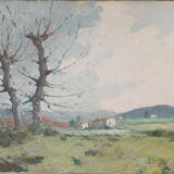 Landscape with trees and mountains