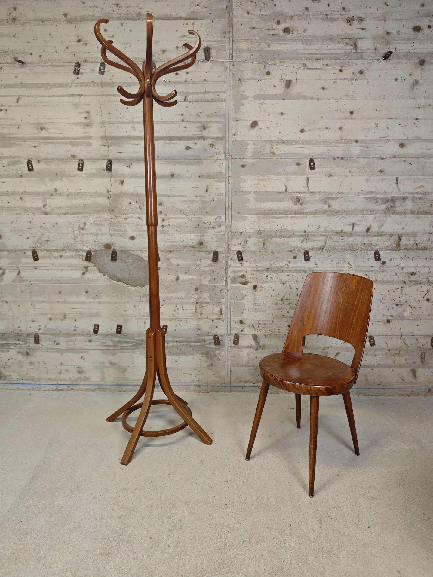 Porte manteau perroquet Baumann 
