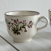 Pagnossin earthenware floral coffee cups, Treviso, Italy.