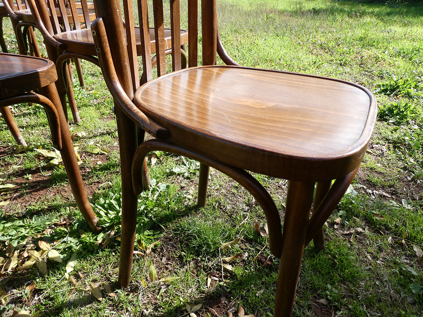 Lot of 11 vintage curved wooden bistro chairs
