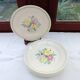 6 old flat plates