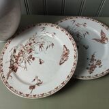 "Carmen" - Set of flat plates Ø 22.5cm ironstone Sarreguemines U&C