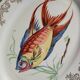 12 antique "Royal" dinner plates + 1 dish