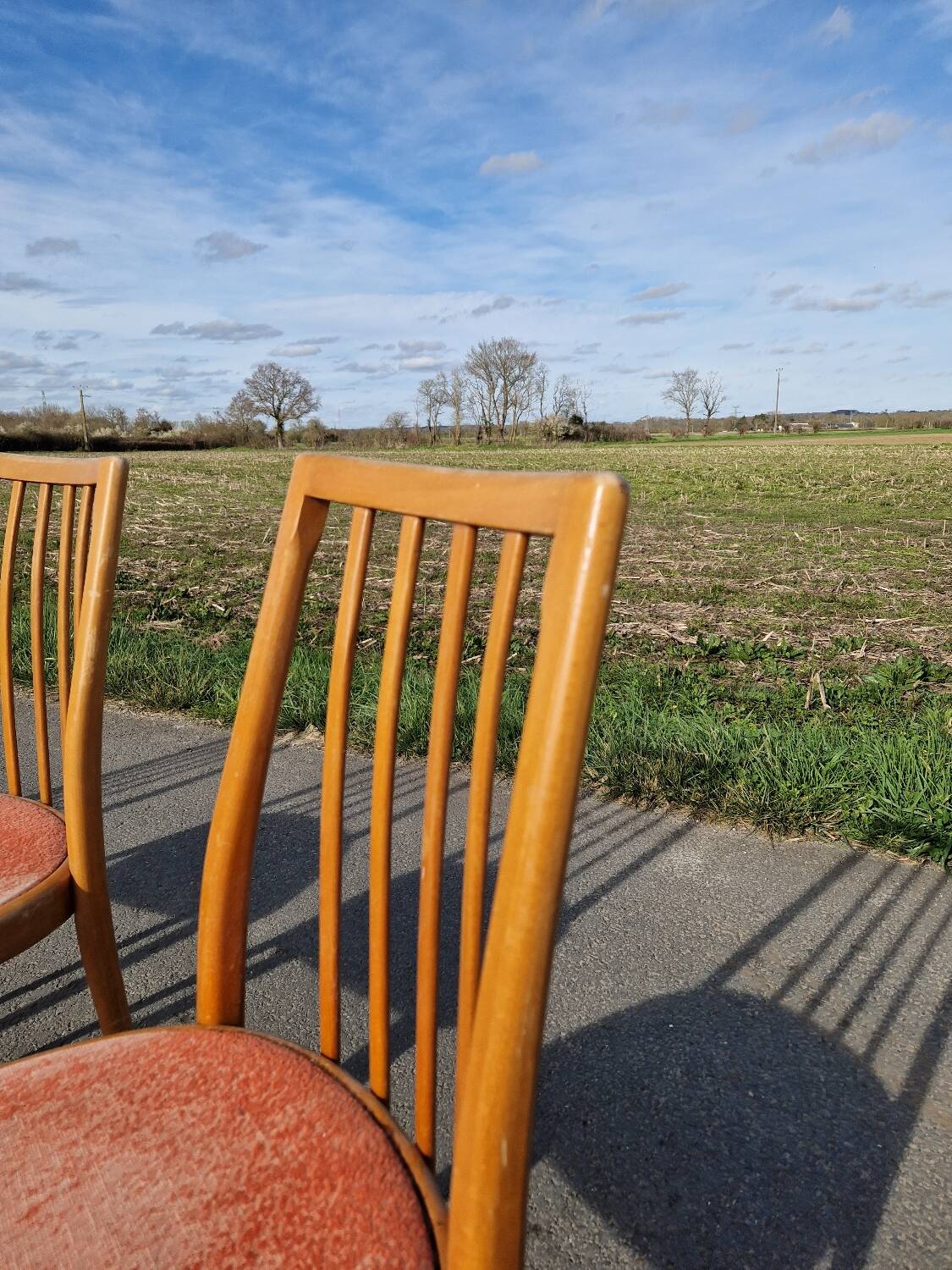 Lot de 4 chaises d'Antoine Suman