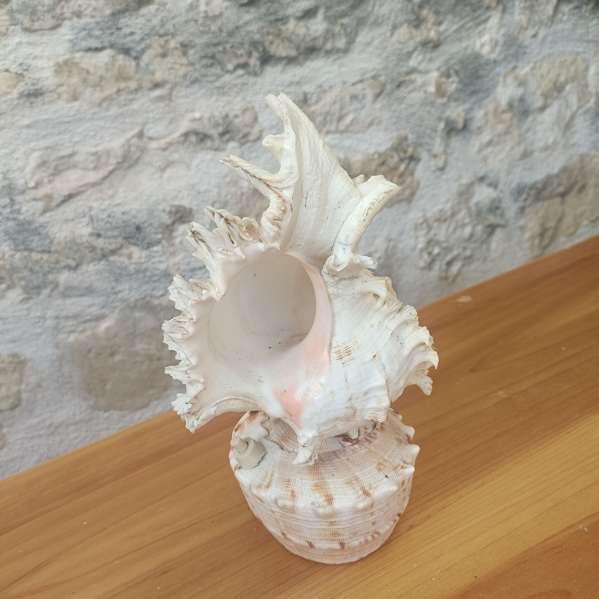 Shell lamp 60's