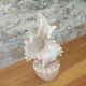 Shell lamp 60's
