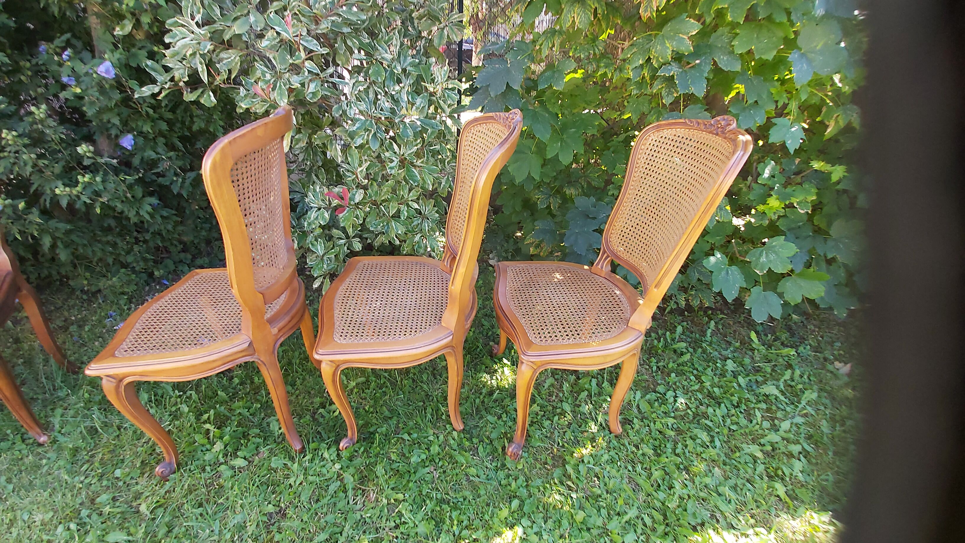Set of three regency cane chairs