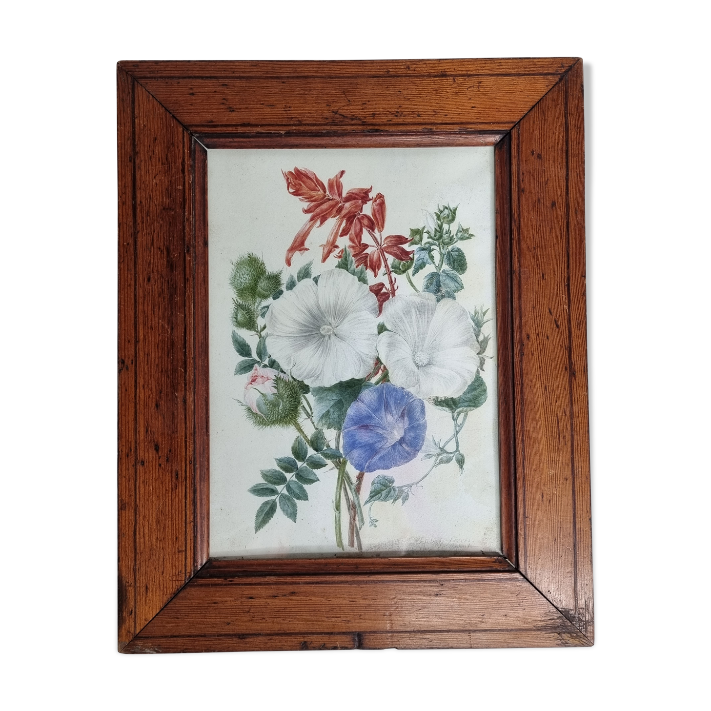 Cadre du début du XIXème siècle, bouquet de fleurs sauvages, signé, élève de Pierre-Joseph Redouté