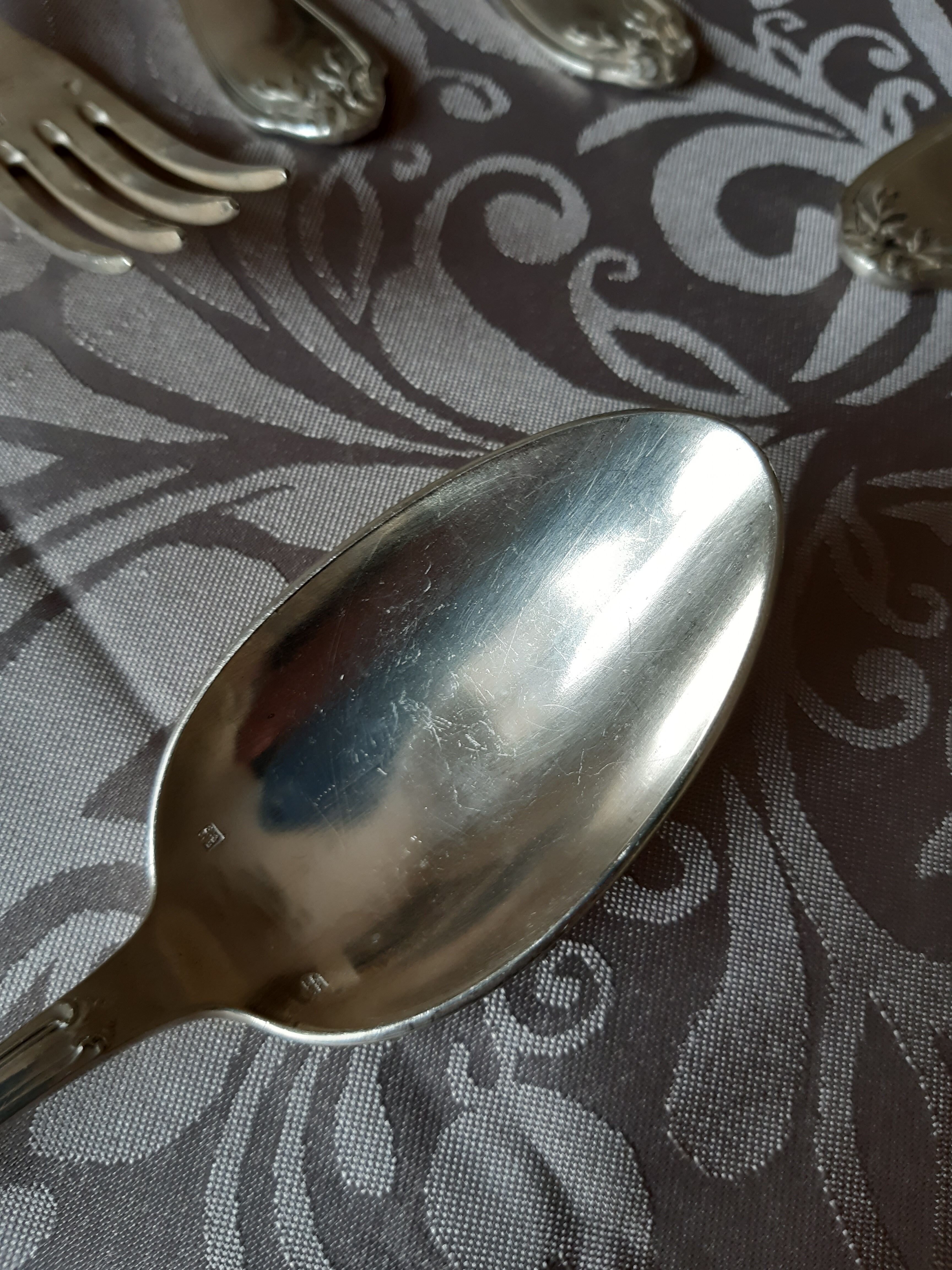 Art nouveau housewife, 48 pieces, 24 guests, foliage model, silver metal