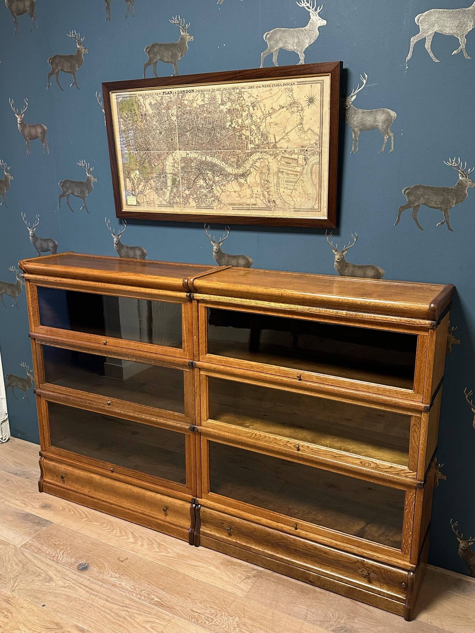 Globe Wernicke Bookcase