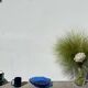Blue glass shell salad bowl