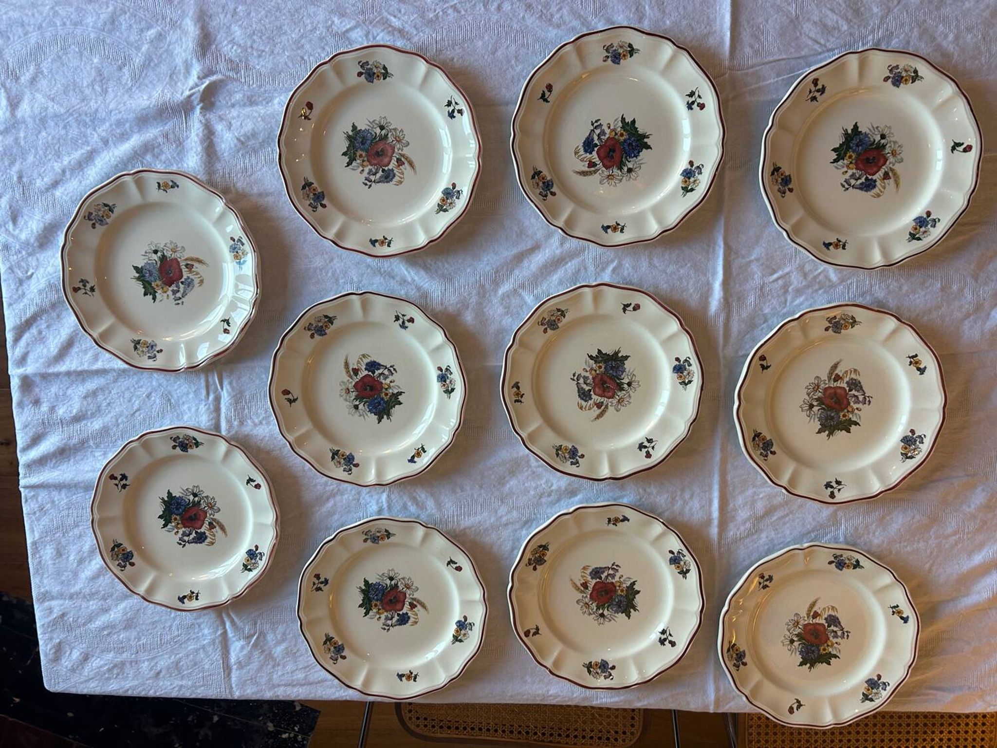 Set of 11 antique plates in Sarreguemines earthenware – Agre decoration