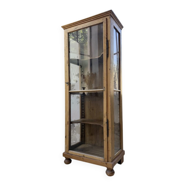 Vitrine pin anglaise XIXème