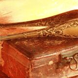 Old sugar tongs