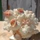 White coral tree with shell