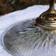 Holophane glass and brass wall light
