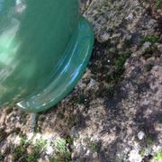 Pitcher ball in glazed green ceramic vintage 60s-70s