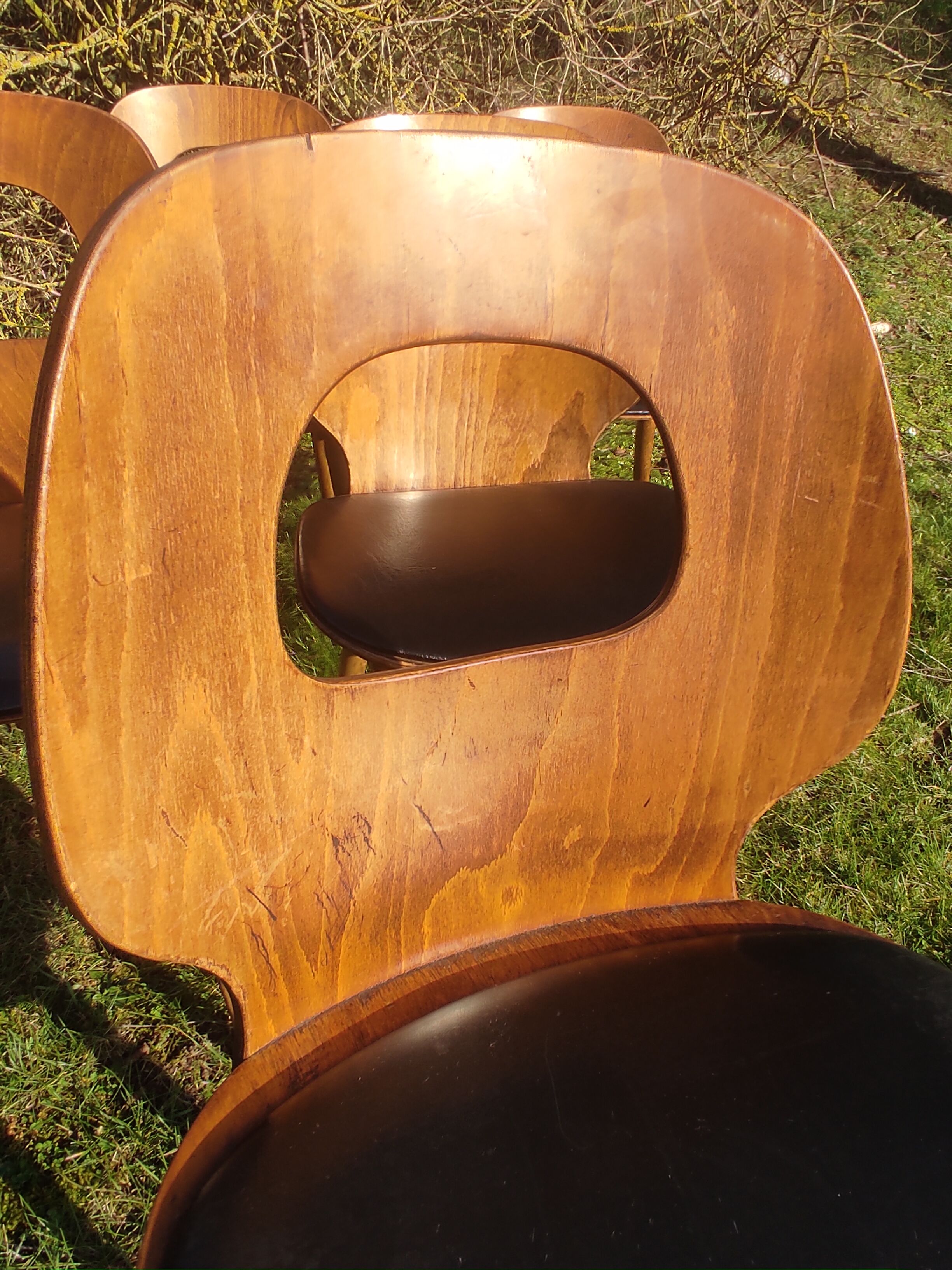 Baumann X6 chairs, Ant model