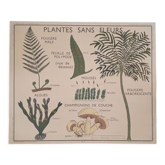 Rossignol school poster