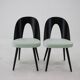 Ensemble de quatre chaises de salle à manger Antonin Suman des années 1960, Tchécoslovaquie