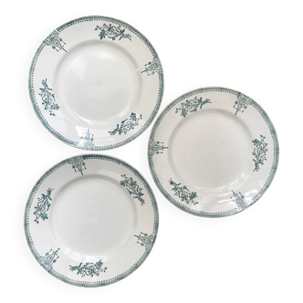 Series of 3 old flat plates