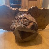 Varnished root living room table