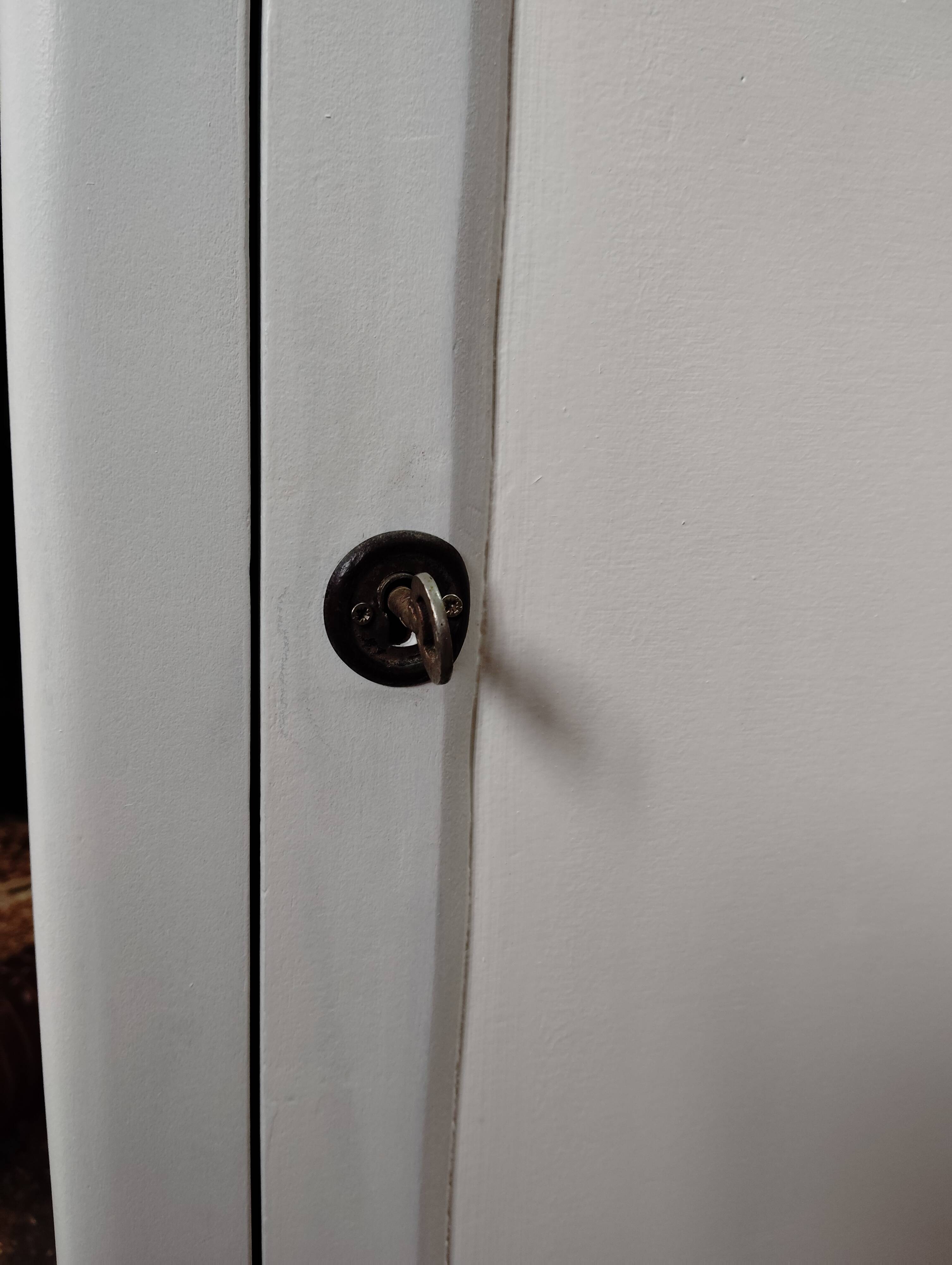 Old "Parisian" jam cupboard with 1 door