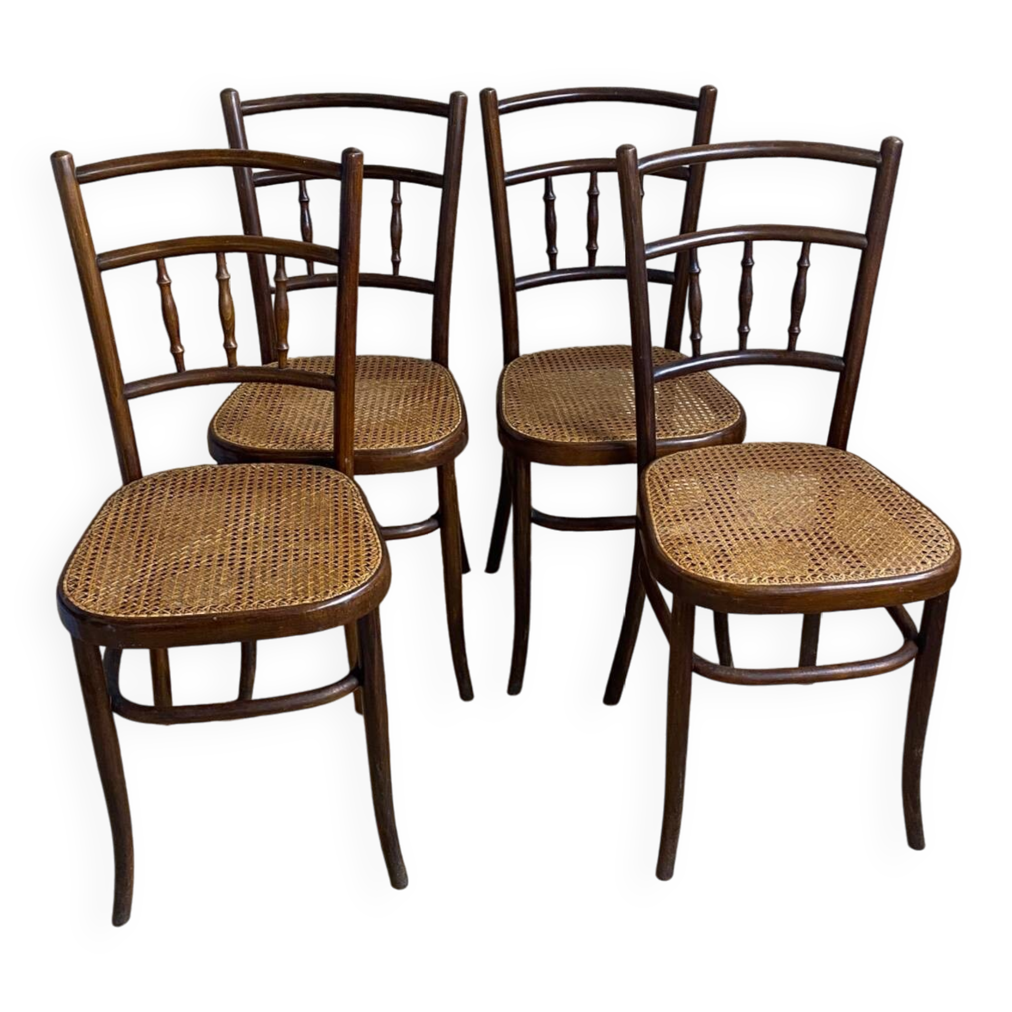 Fischel chairs