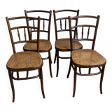 Fischel chairs