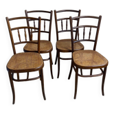 Fischel chairs