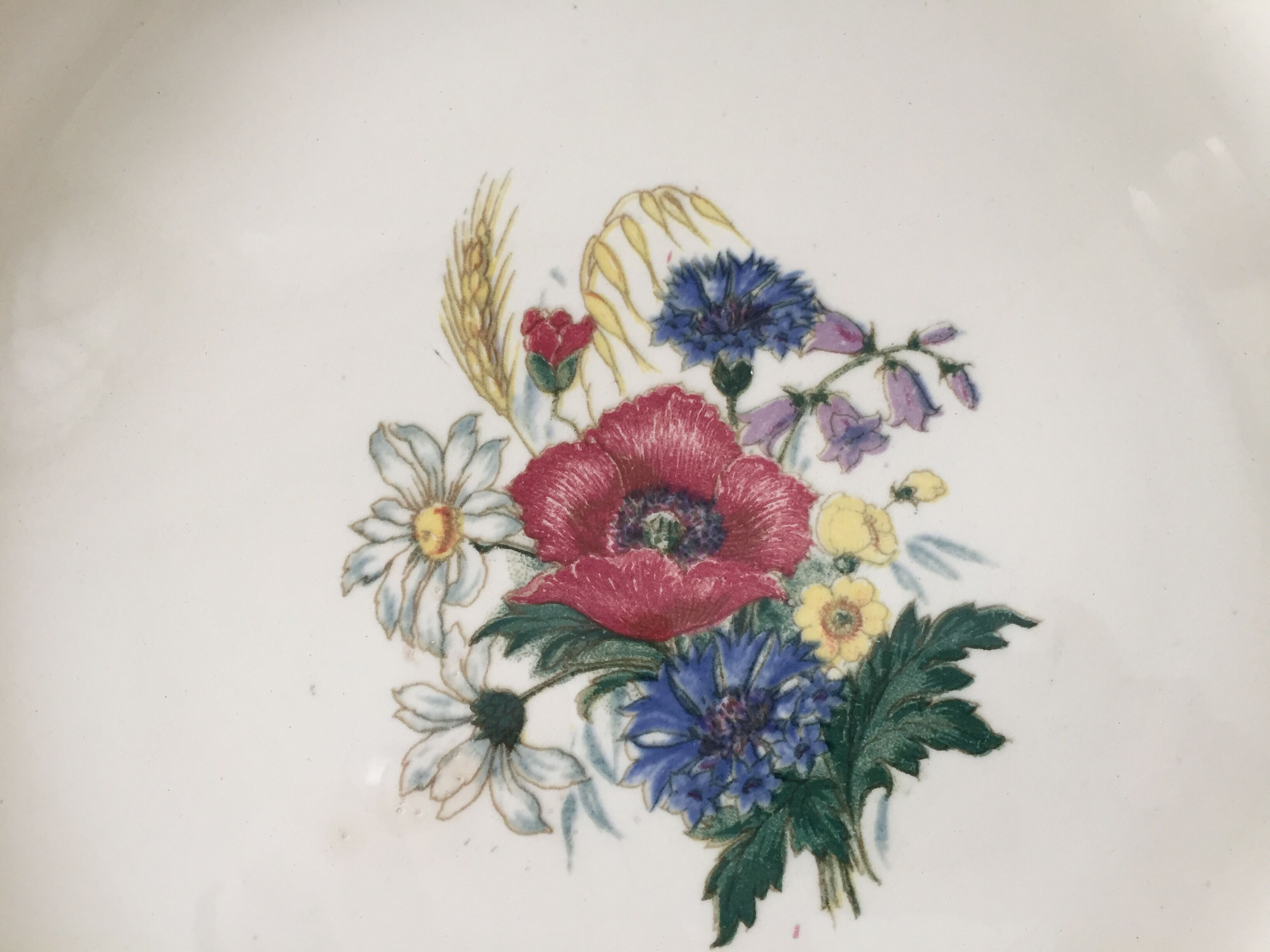 Old serving dish digoin sarreguemines model agreste