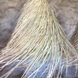 Palm leaf suspension