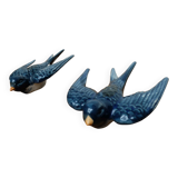 Swallows