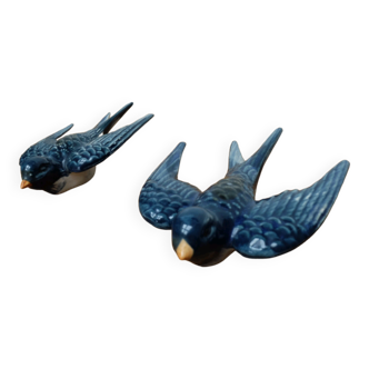 Swallows