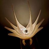 Shell lamp by Roger Rougier - 1970