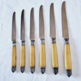 Box of 6 Appetizer Knives in Resin and Metal Vitolas Art Nouveau Style 19th Century