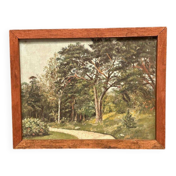 Huile sur toile du milieu du siècle "Forêt" par un artiste inconnu, vintage et encadrée – 37 × 30 cm (14,5" x 12")