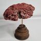 Antique Tubipora musica ornamental coral on wooden base, 16 cm