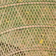 Emmanuelle's braided rattan chair from the 70s.